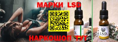 ECSTASY Новозыбков