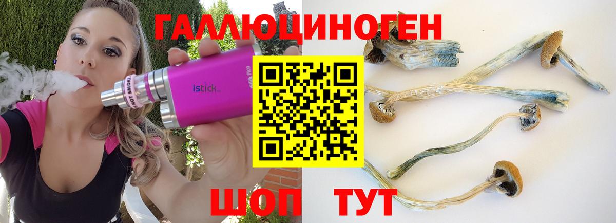Томск  Псилоцибиновые грибы Magic Shrooms  Псилоцибиновые грибы Cubensis  Вход с VPN 