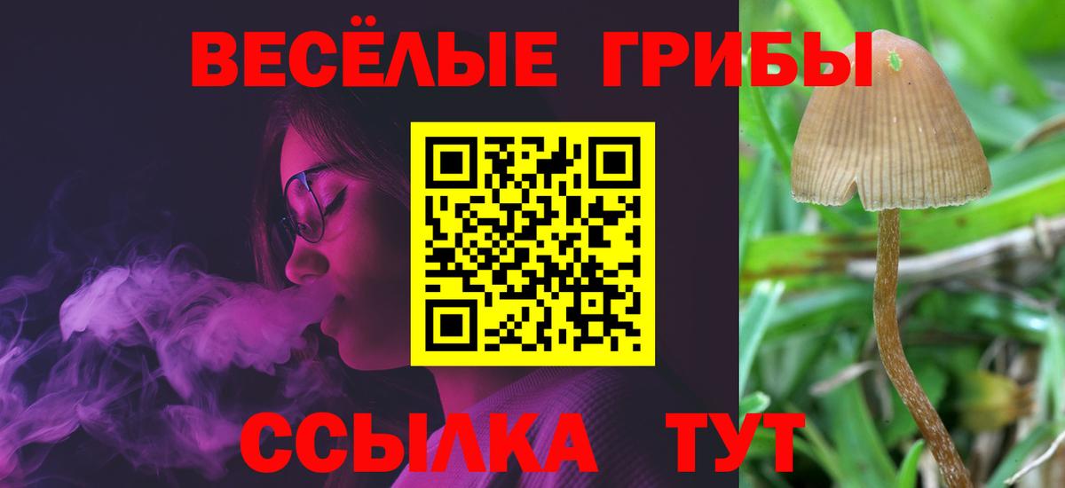 Галлюциногенные грибы MAGIC MUSHROOMS Томск